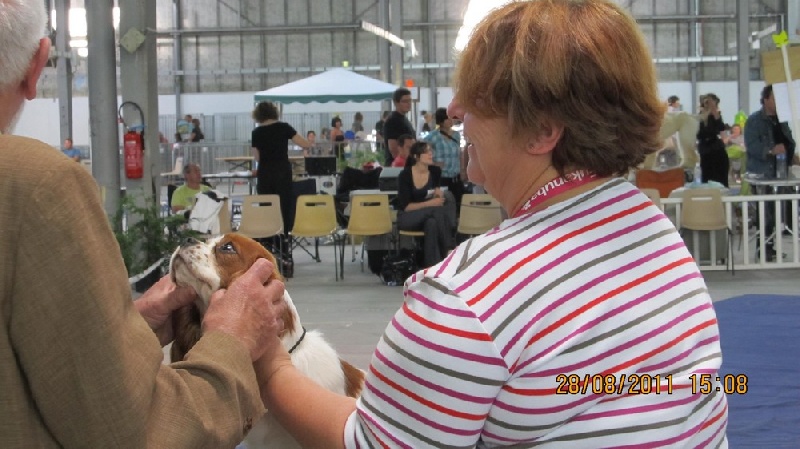 Publication : du domaine de la Vareze Auteur : Claudette MARTUREL