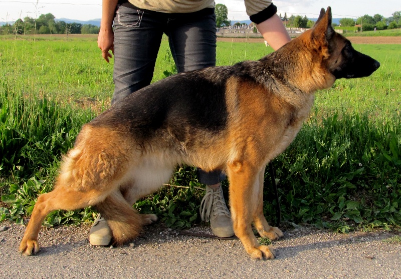Publication : du domaine de la Vareze Auteur : Claudette MARTUREL