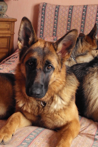 Publication : du domaine de la Vareze Auteur : Claudette MARTUREL