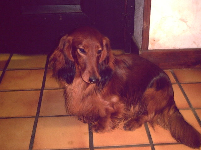 Publication : de la goutte du Chaity