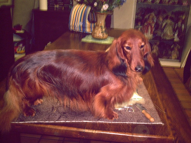 Publication : de la goutte du Chaity