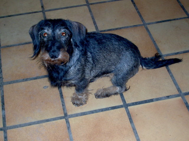 Publication : de la goutte du Chaity