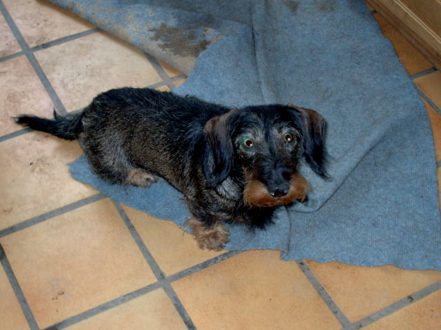 Publication : de la goutte du Chaity