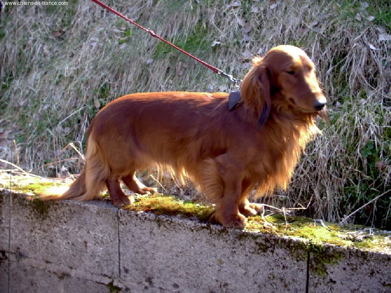 Publication : de la goutte du Chaity