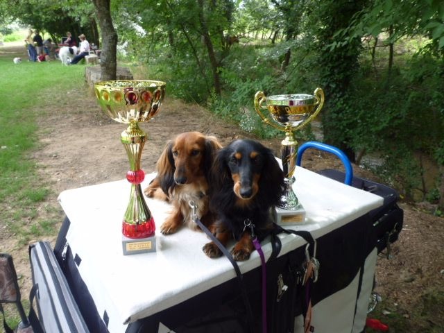 Java Des Trésors A Petites Patounes - 1er Excellent BOBJ BOGJ3