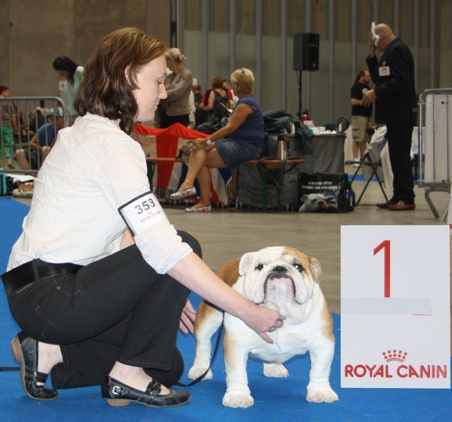 mellowmood Montgomery calibra - 1st place Very Good - JCAC