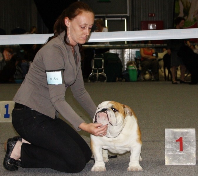 mellowmood Montgomery calibra - 1st place Excellent JCAC