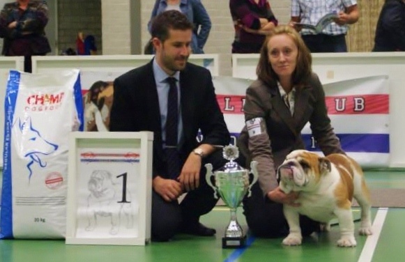 mellowmood Montgomery calibra - 1st place Excellent - BEST YOUTHDOG