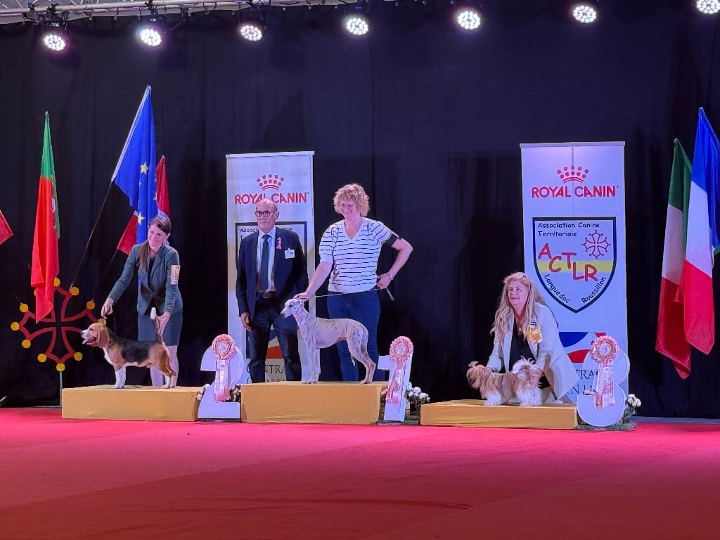 Apache Des Princesses De L'Orb