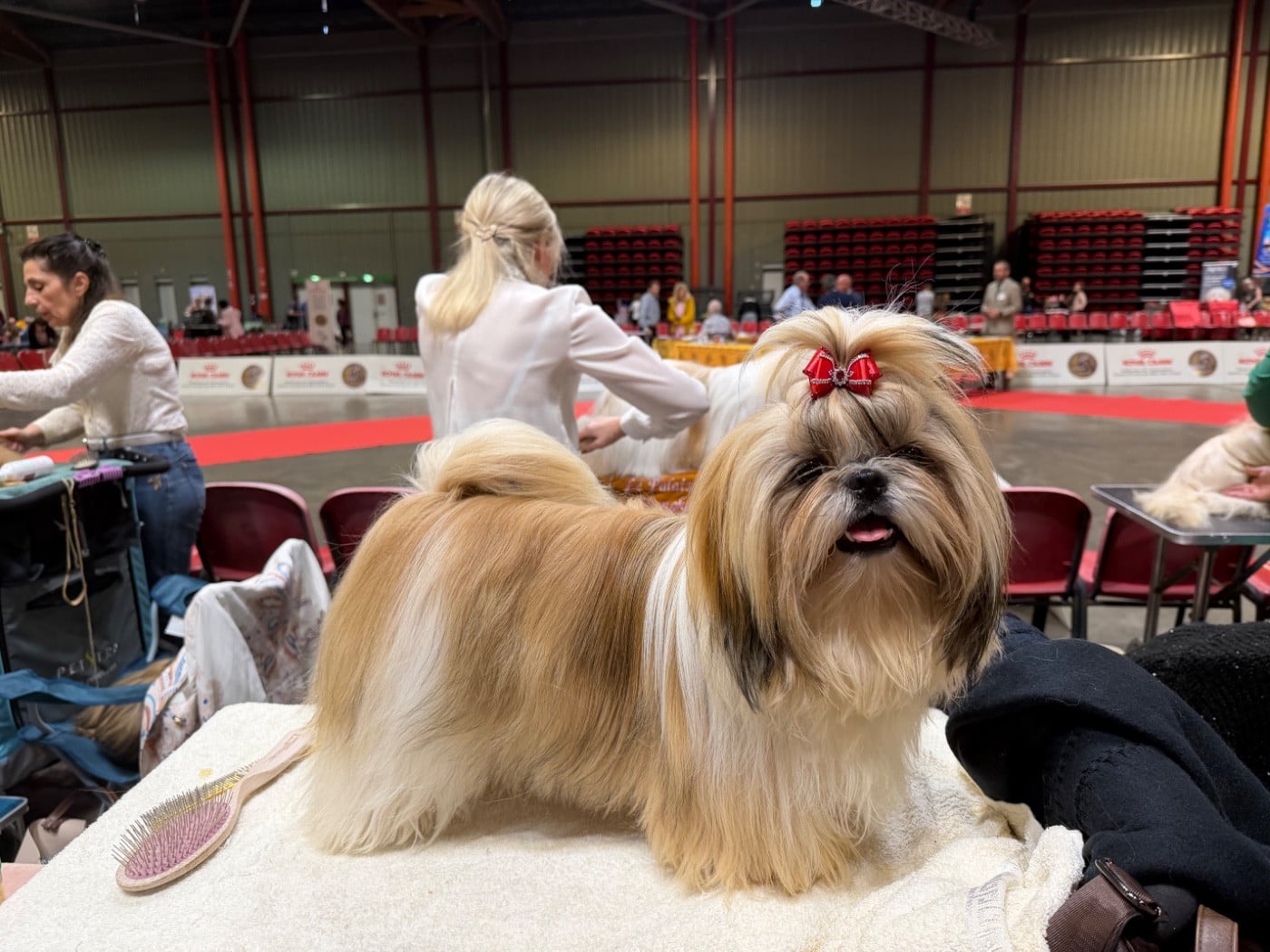 Apache Des Princesses De L'Orb