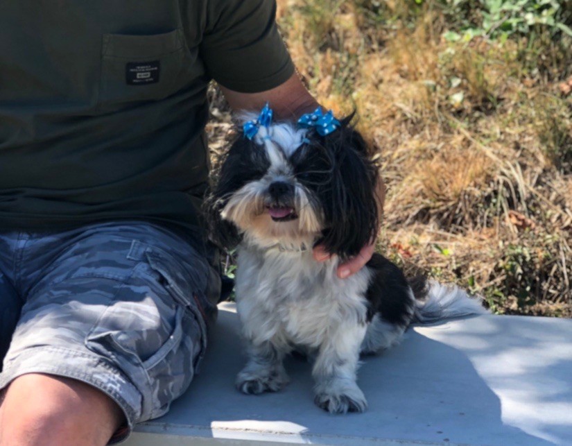 Houpette (Sans Affixe)