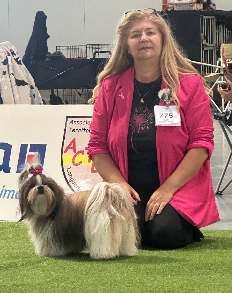 Vaïana tamatoa Des Princesses De L'Orb