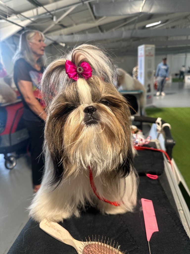 Vaïana tamatoa Des Princesses De L'Orb