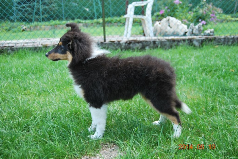 Publication : du Reflet De La Lune Bleue