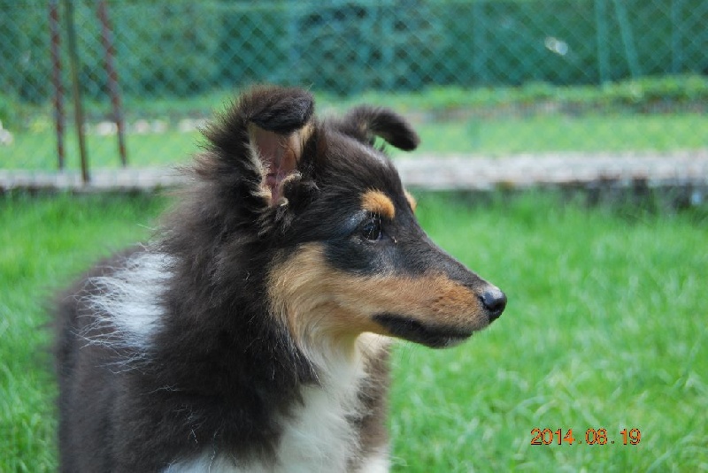 Publication : du Reflet De La Lune Bleue