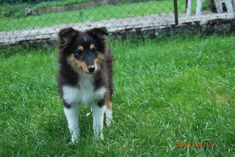 Publication : du Reflet De La Lune Bleue