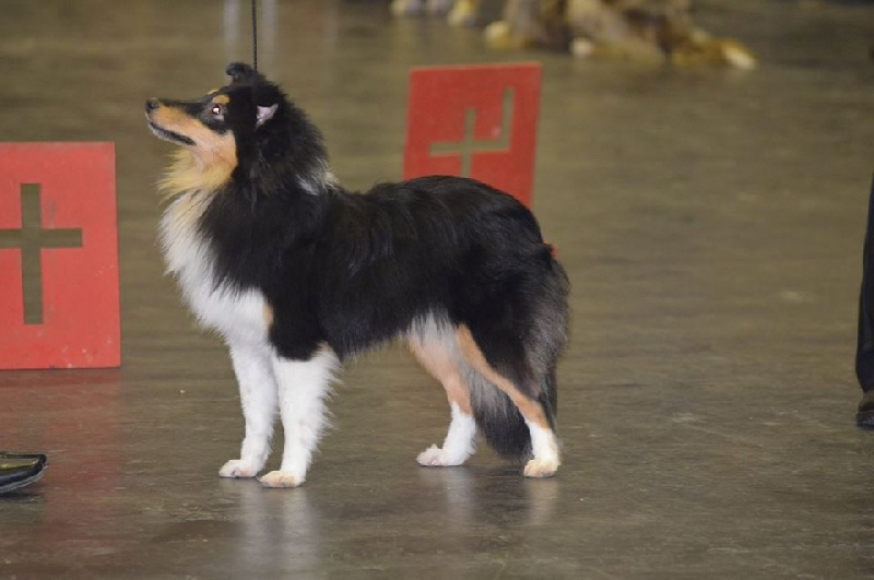 Publication : du Reflet De La Lune Bleue