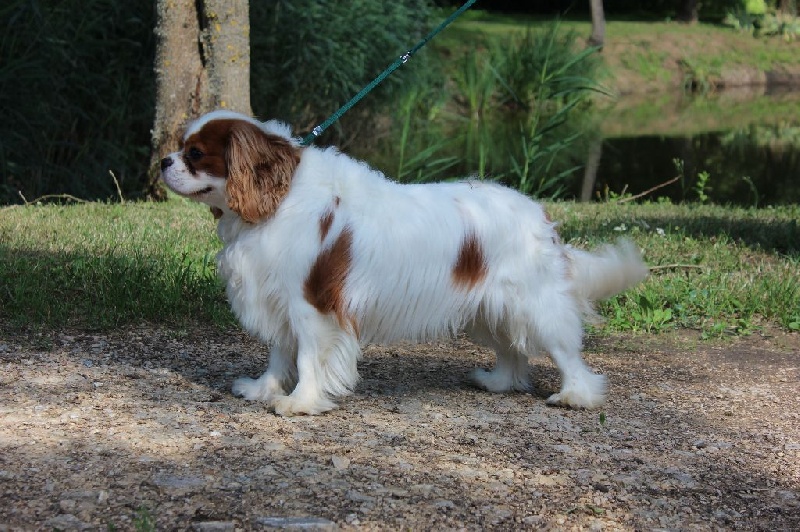 Publication : Du Paradis De Melba