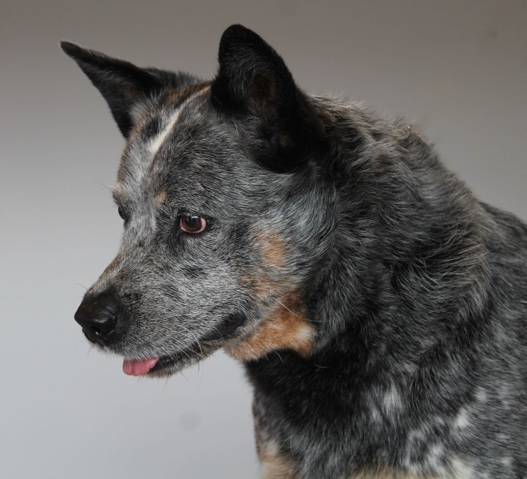 Publication : vom teufelsjoch