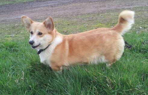 Publication : Du Domaine Brunemont