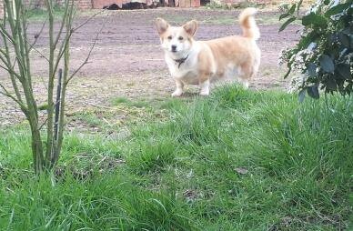 Publication : Du Domaine Brunemont