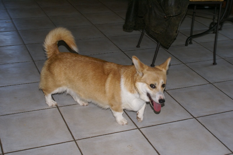 Publication : Du Domaine Brunemont