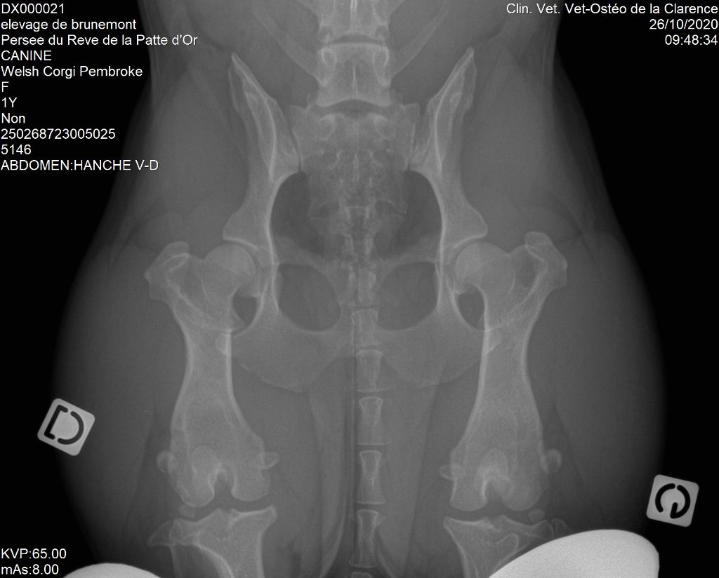 Publication : Du Domaine Brunemont