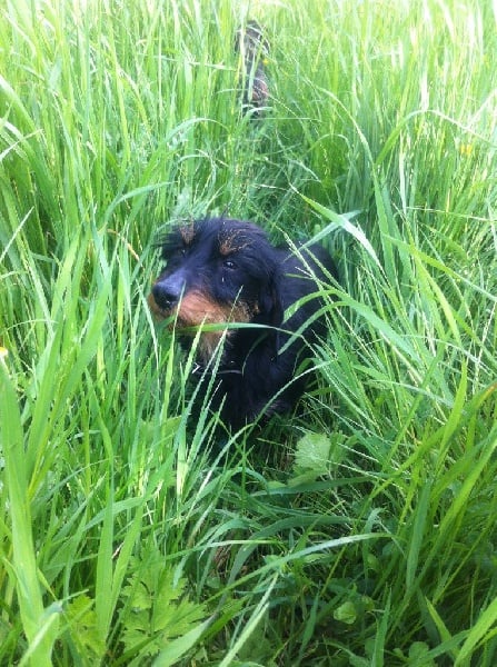 Publication : Du Domaine Brunemont