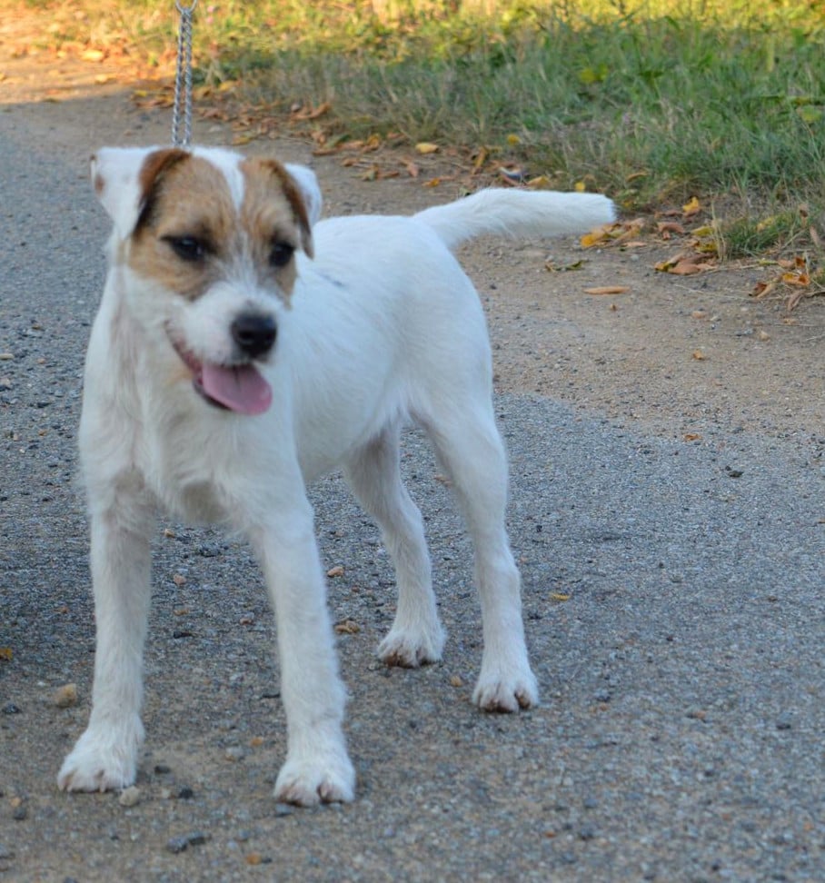 Volnay Du Jardin D'inuko