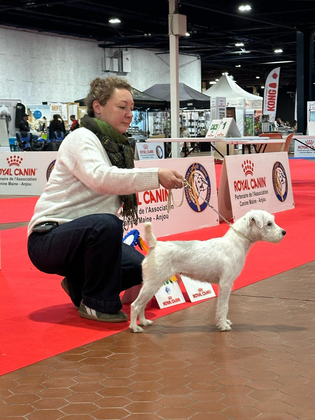 Shûshan Du Jardin D'inuko