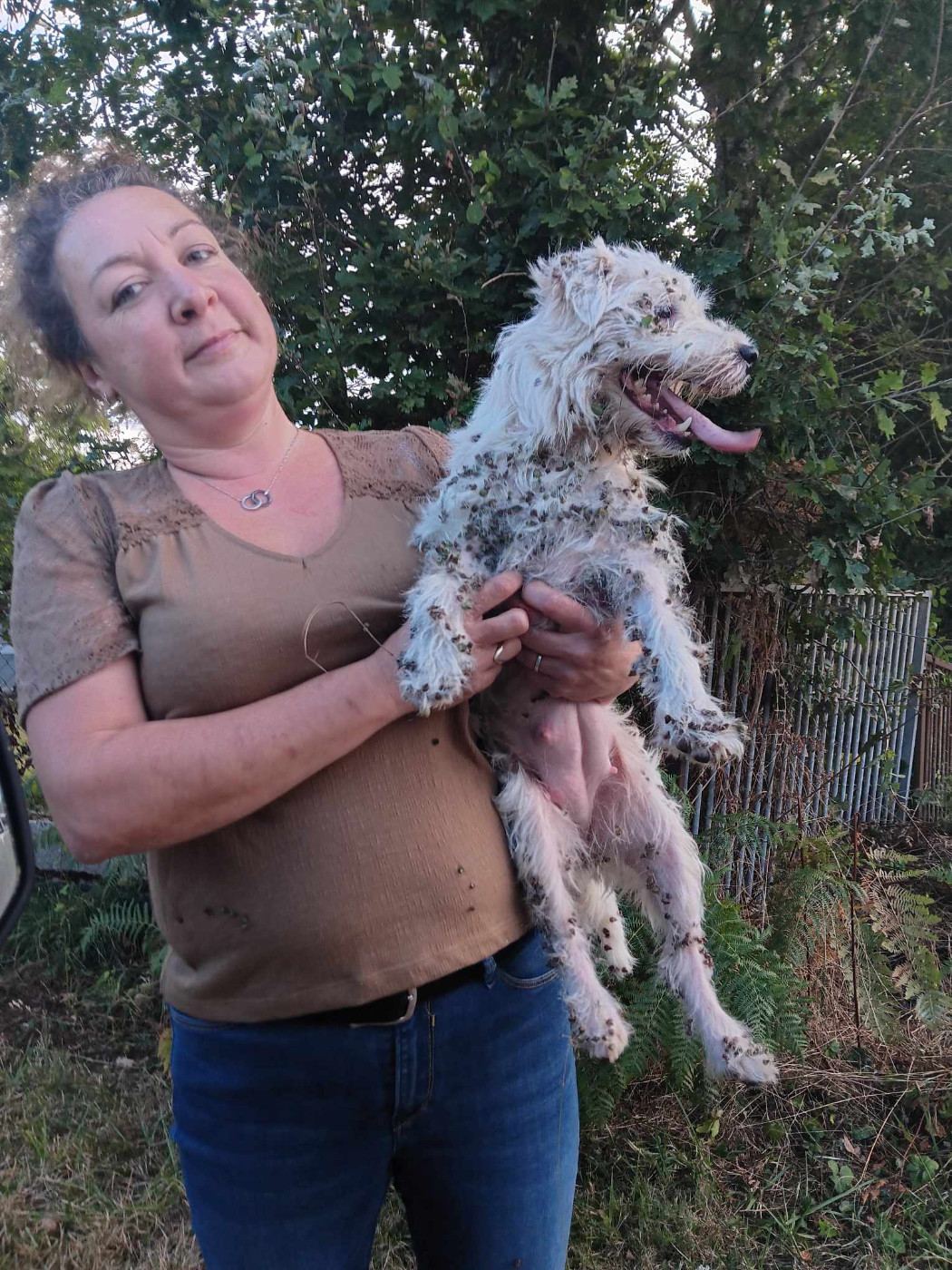 Shûshan Du Jardin D'inuko