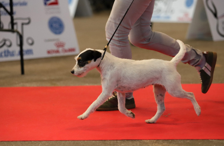 Tennessee Du site corot