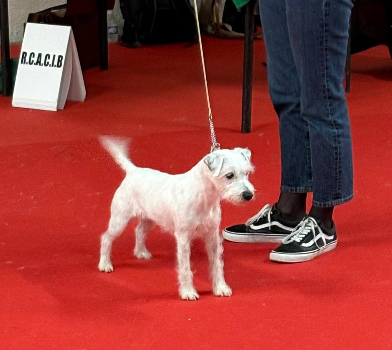 Up Du Jardin D'inuko