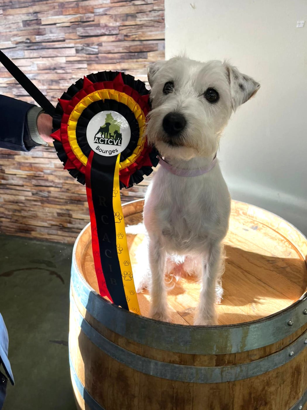 Up Du Jardin D'inuko