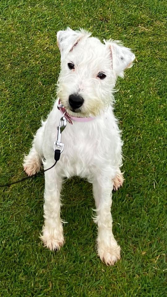 Up Du Jardin D'inuko