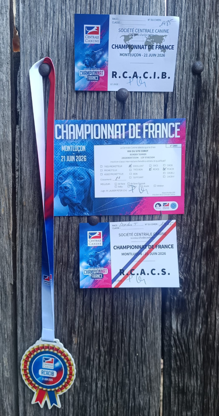 Vixi Du site corot - 2ème Excellent classe inter, RCAC, RCACIB