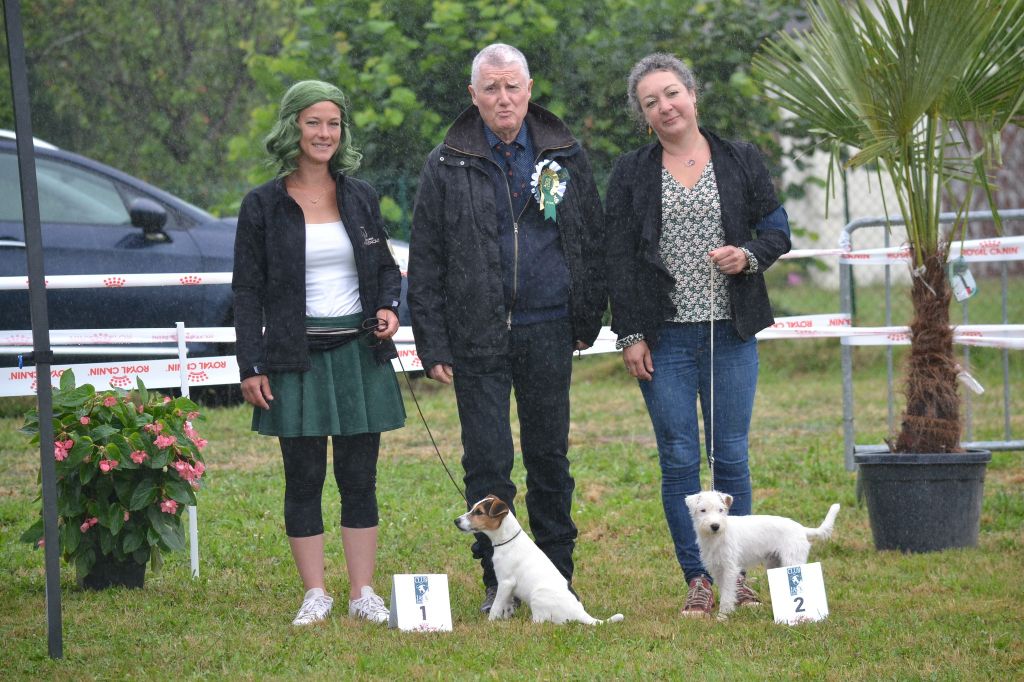 Umezo (dit mezzo) Du Jardin D'inuko - 2ème Prometteur classe Baby