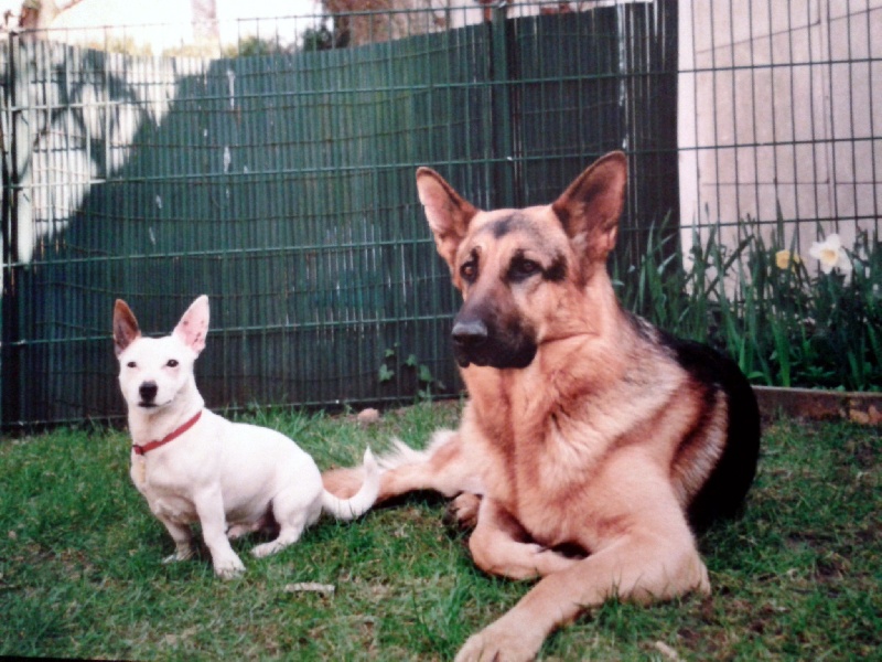 Rusty Du manoir de montgommery