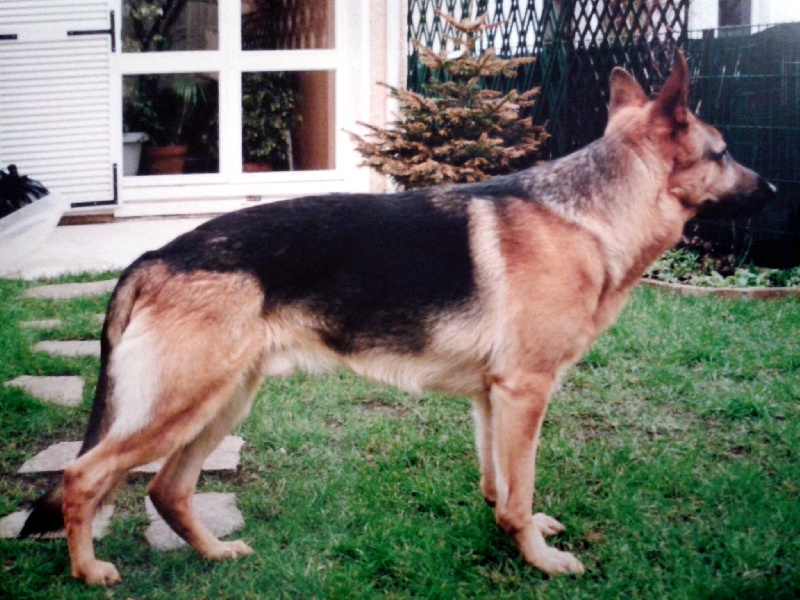 Rusty Du manoir de montgommery