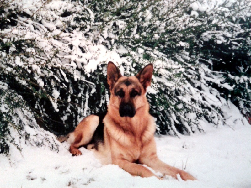 Rusty Du manoir de montgommery