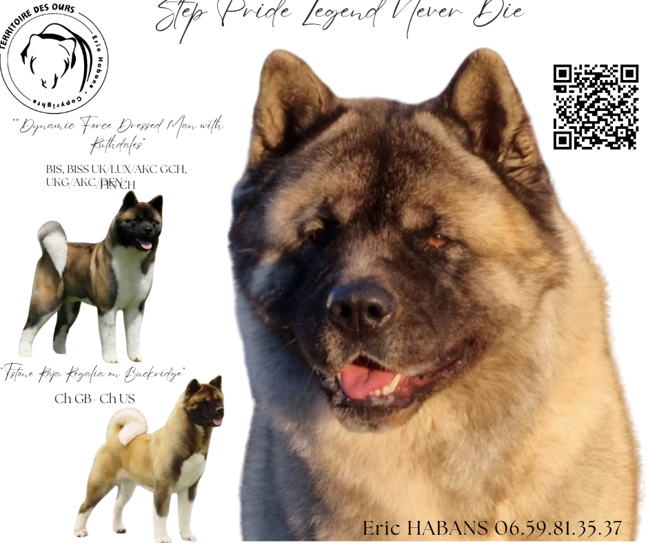 Publication : du Territoire Des Ours Auteur : Eric Habans