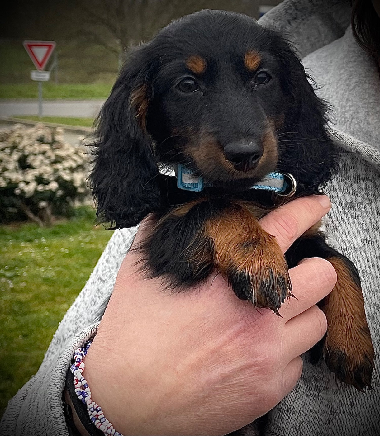 Publication : du domaine d'an oriant Auteur : Domaine d An Oriant