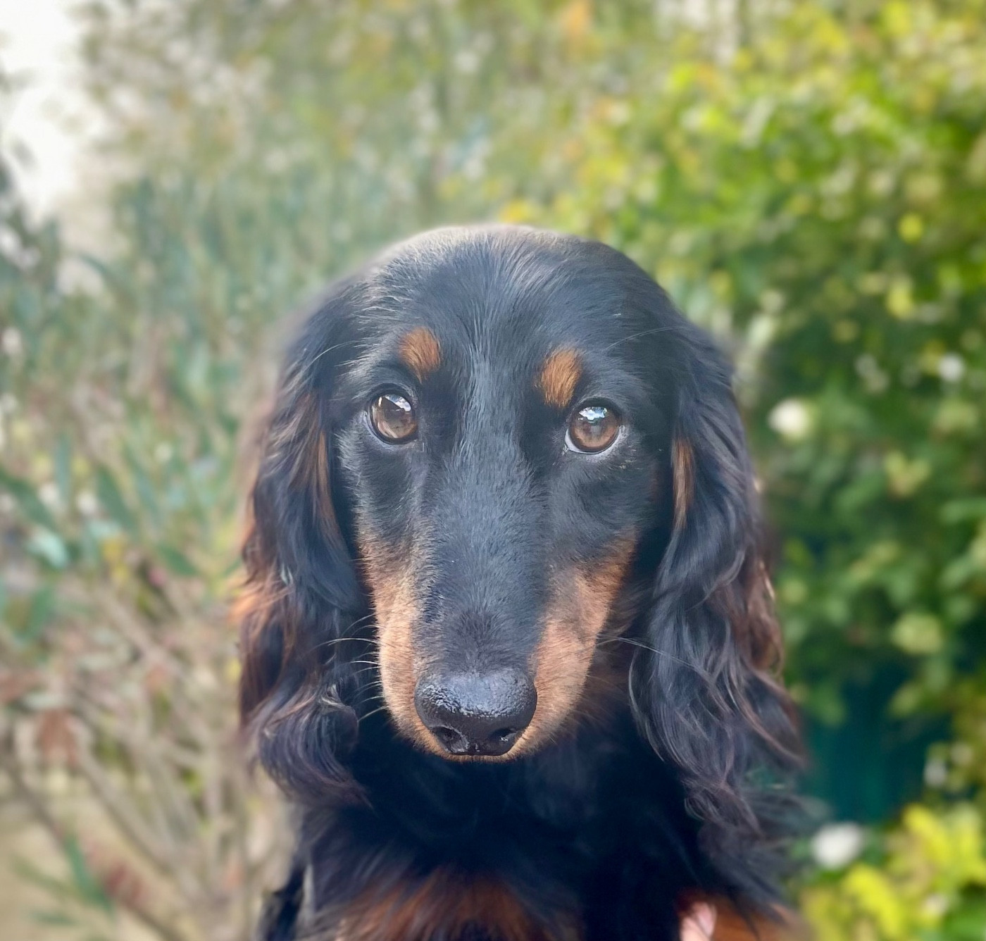 Publication : du domaine d'an oriant Auteur : Domaine d An Oriant