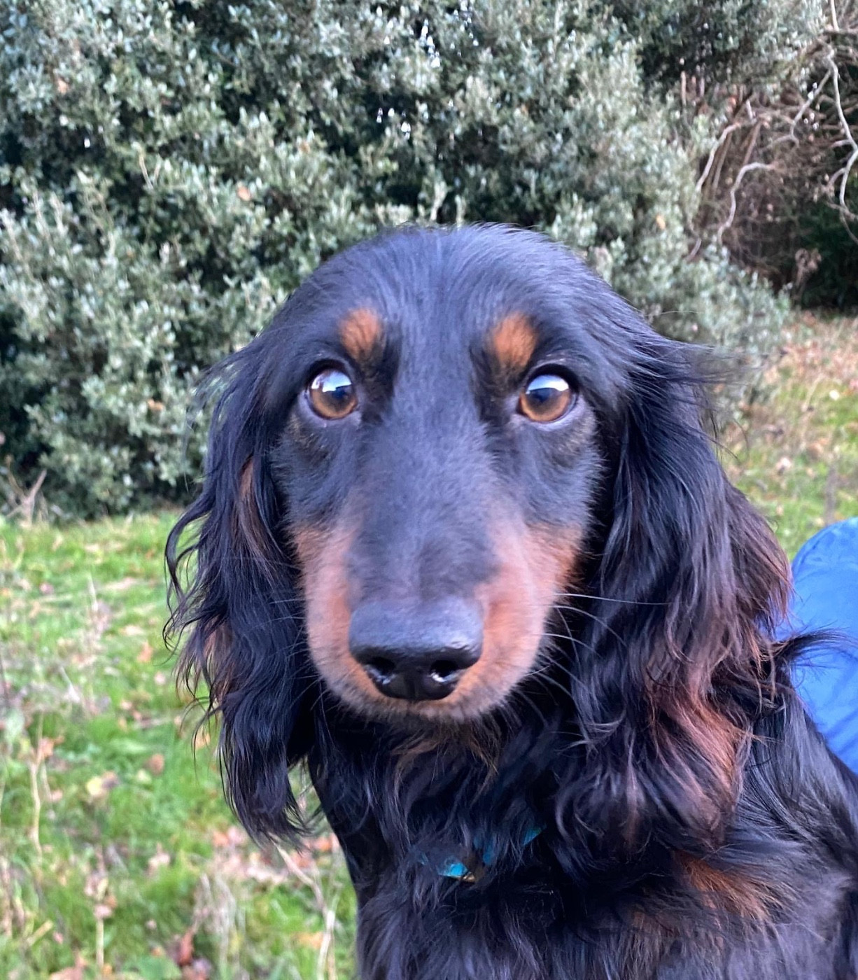 Publication : du domaine d'an oriant Auteur : Domaine d An Oriant