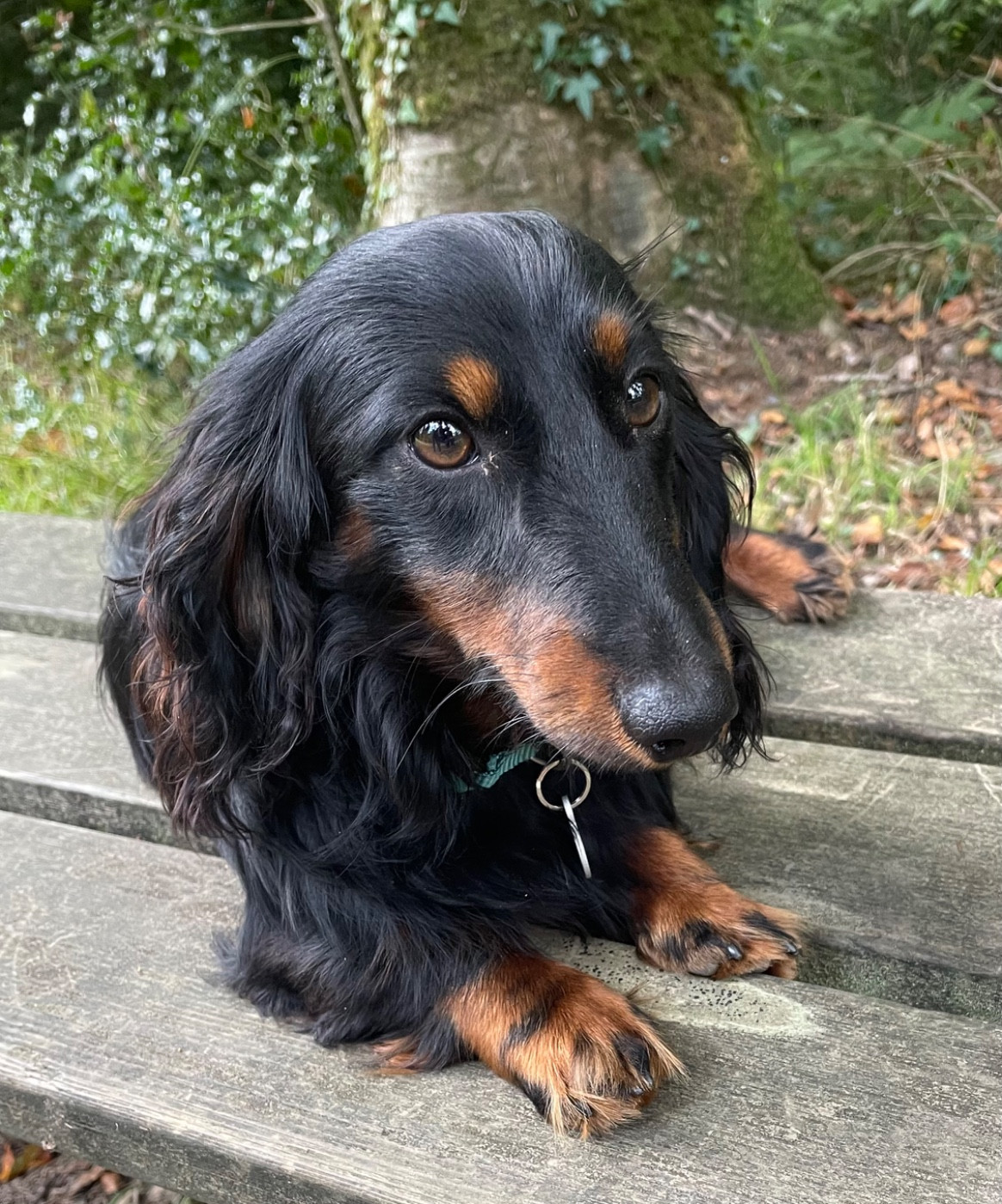 Publication : du domaine d'an oriant Auteur : Domaine d An Oriant