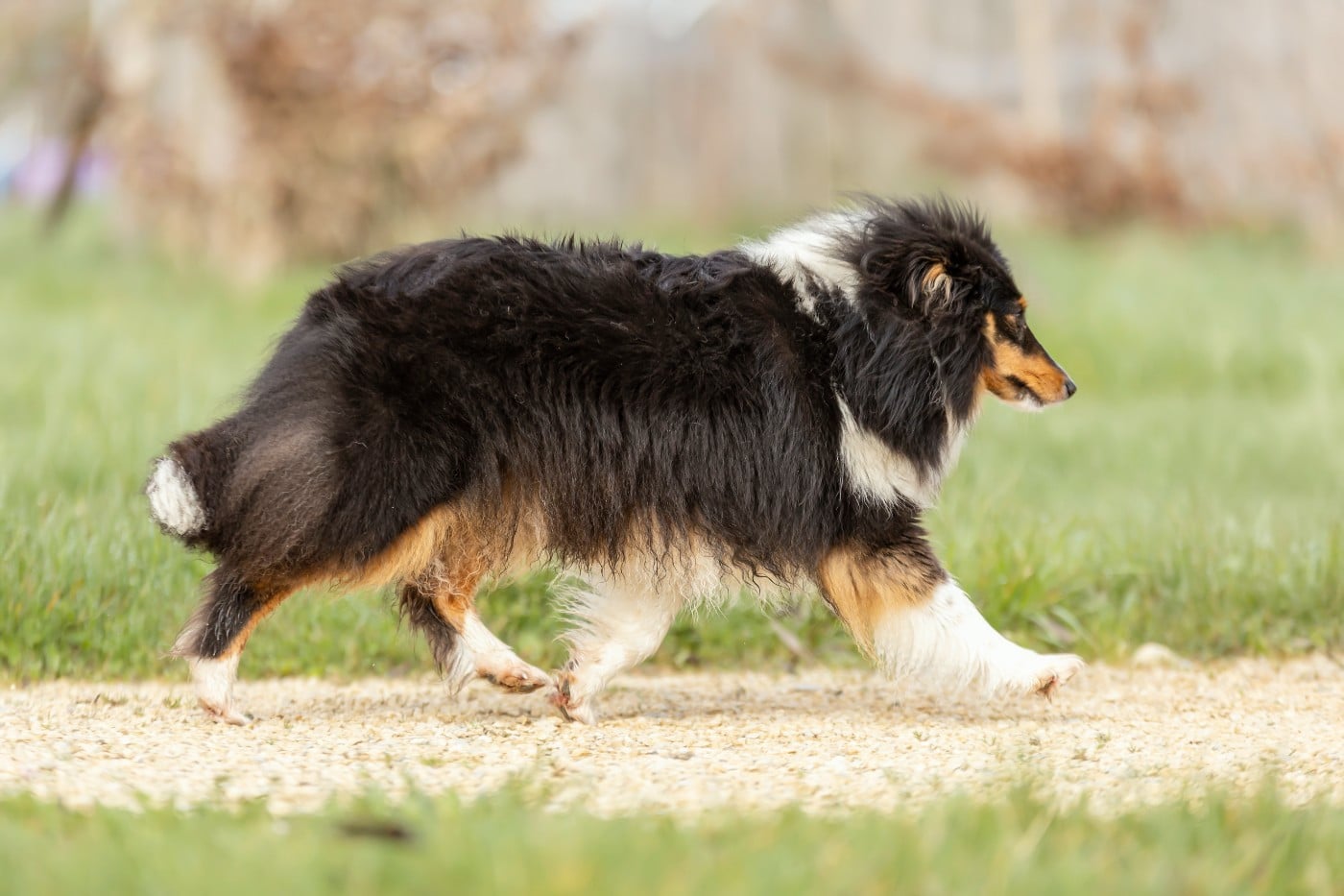 Vitality du Domaine du Carpé