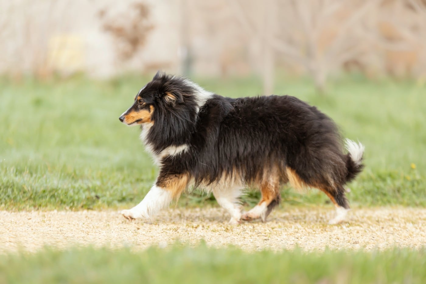 Vitality du Domaine du Carpé
