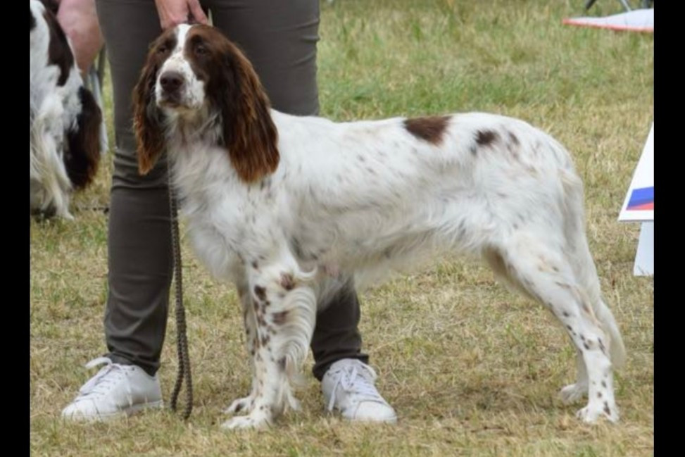 Roxie De L'orée Du Bois Bruyer