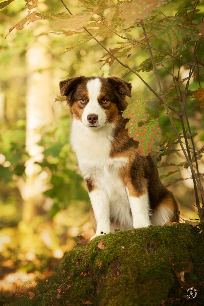 CH. The future is coming Of Eternal Dreams