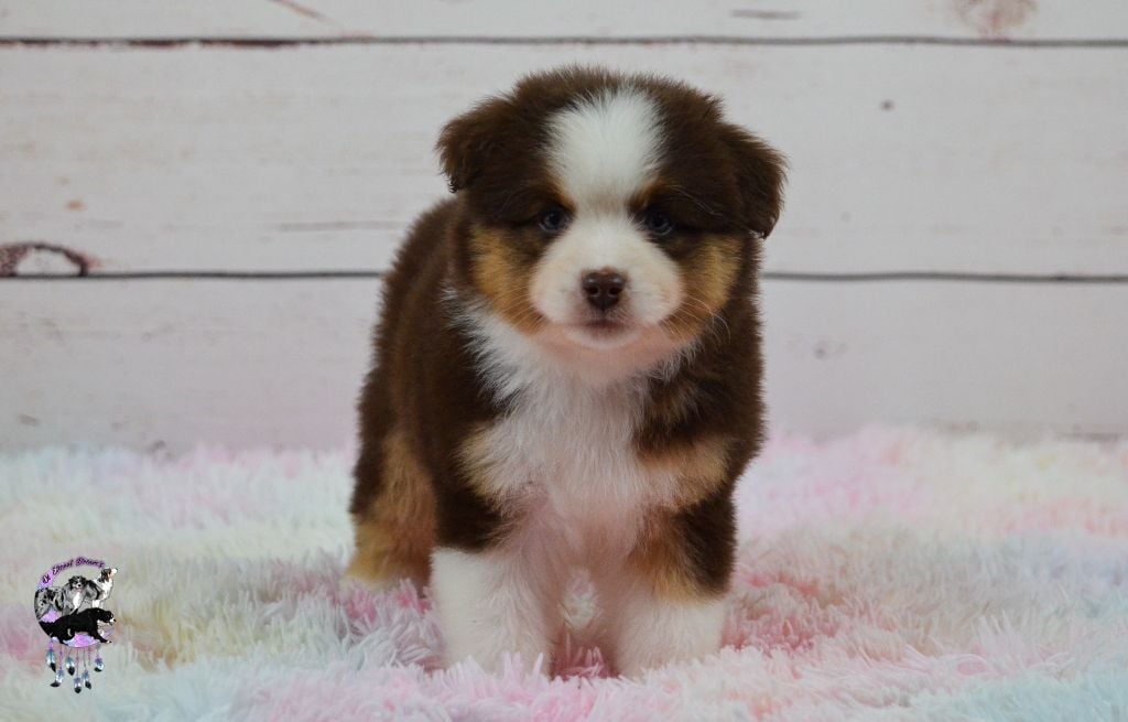 CH. The future is coming Of Eternal Dreams